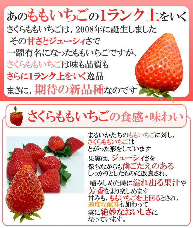 【お届け日指定可能】徳島県・佐那河内産 ”さくらももいちご” 秀品2L・大粒AA 4パック入り 幻のいちご【送料無料】