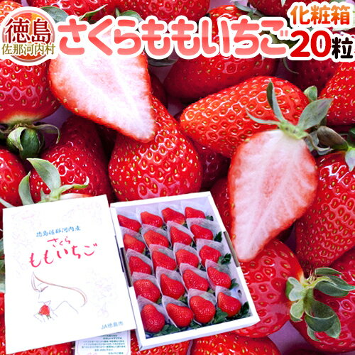 【お届け日指定可能】徳島県 ”佐那河内産 さくらももいちご” 超大粒20粒 化粧箱【送料無料】