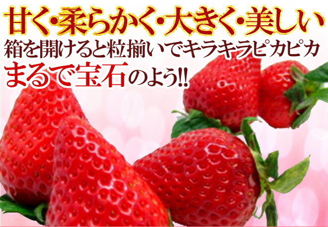 【お届け日指定可能】徳島県 ”佐那河内産 さくらももいちご” 超大粒20粒 化粧箱【送料無料】