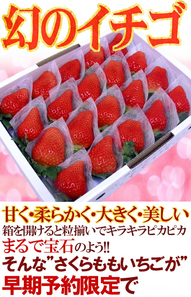 【送料無料】徳島県佐那河内産 ”さくらももいちご” 超大粒20粒 化粧箱【予約 12月〜4月】