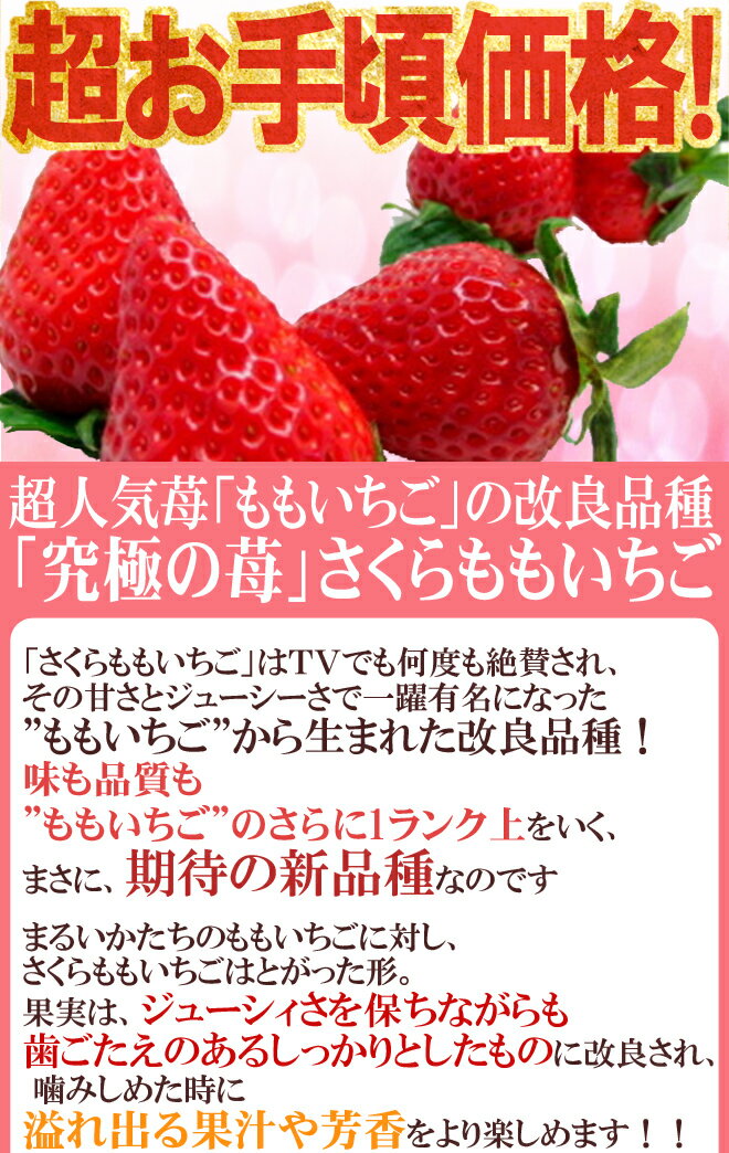 【送料無料】徳島県佐那河内産 ”さくらももいちご” 超大粒20粒 化粧箱【予約 12月〜4月】