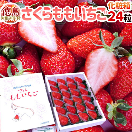 【送料無料】徳島県佐那河内産 ”さくらももいちご” 大粒24粒 化粧箱【予約 12月〜4月】