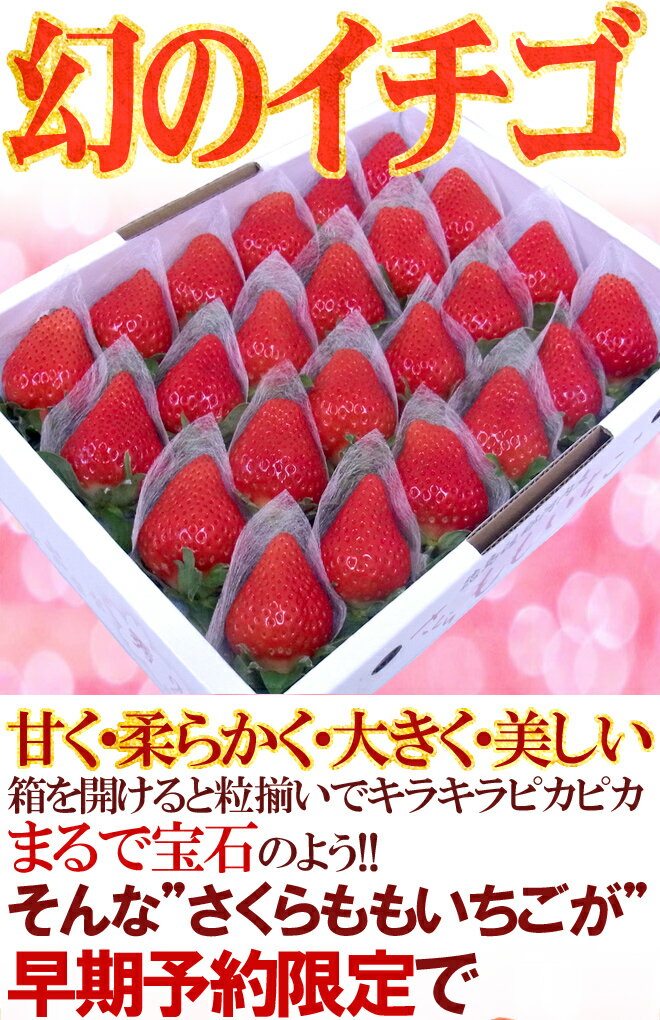 【送料無料】徳島県佐那河内産 ”さくらももいちご” 大粒24粒 化粧箱【予約 12月〜4月】