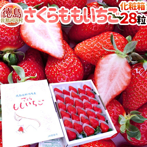 【お届け日指定可能】徳島県 ”佐那河内産 さくらももいちご” 28粒入り 化粧箱【送料無料】