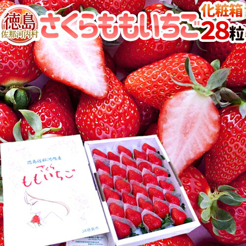 【送料無料】徳島県佐那河内産 ”さくらももいちご” 28粒 化粧箱【予約 12月〜4月】