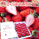 いちご 徳島県佐那河内産 ”さくらももいちご” 28粒 化粧箱【予約 12月以降】 送料無料