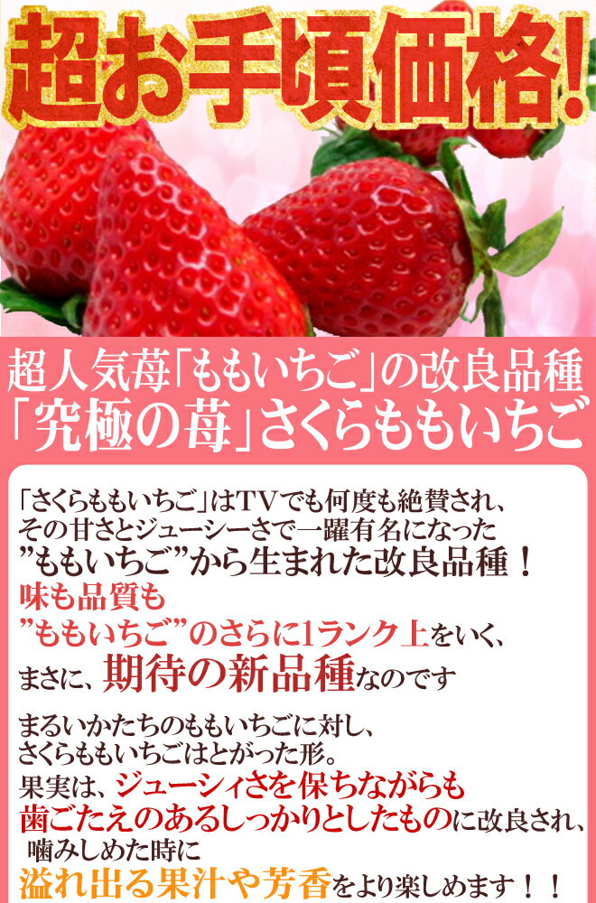 【送料無料】徳島県佐那河内産 ”さくらももいちご” 28粒 化粧箱【予約 12月〜4月】