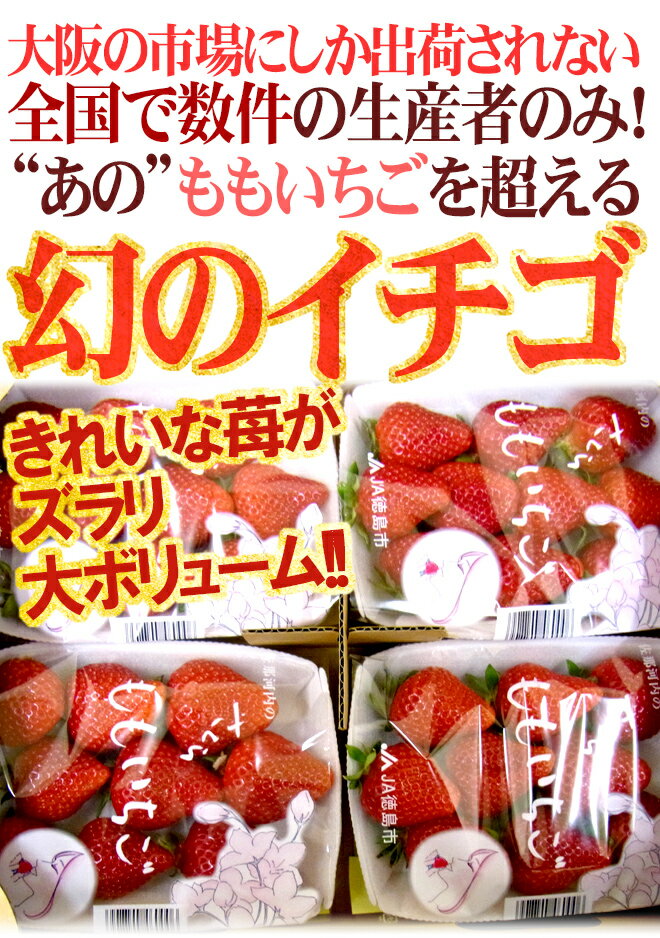 【送料無料】徳島県 ”佐那河内産 さくらももいちご” 秀品2L or 大粒AA 220g×4pc【予約 12月〜4月】