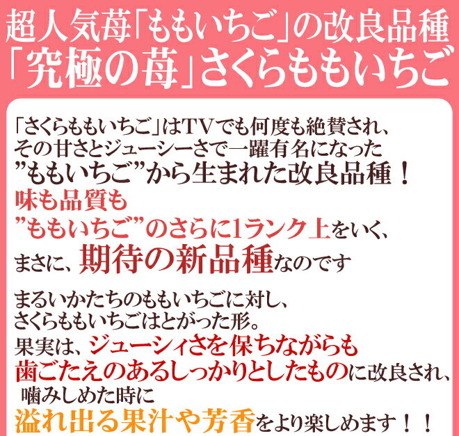 【送料無料】徳島県 ”佐那河内産 さくらももいちご” 秀品2L or 大粒AA 220g×4pc【予約 12月〜4月】