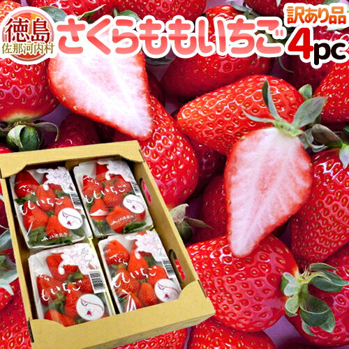 【お年玉セール】徳島県佐那河内村 ”さくらももいちご” 訳あり 約200g×4pc ワケ待ち【予約 1月〜2月】