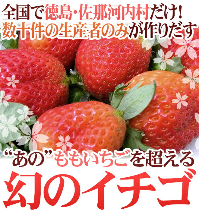 【お年玉セール】徳島県佐那河内村 ”さくらももいちご” 訳あり 約200g×4pc ワケ待ち【予約 1月〜2月】