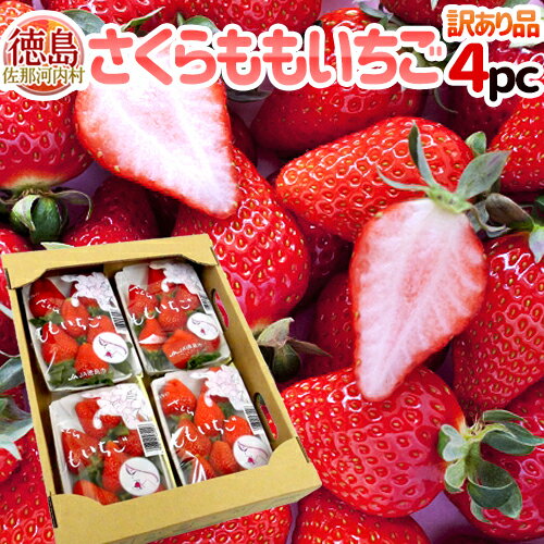 【お届け日指定可能】徳島県佐那河内 ”さくらももいちご” 約200g×4パック 訳あり ご家庭用【送料無料】