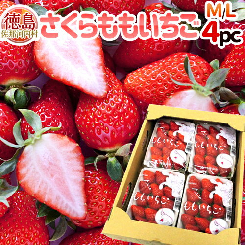 【送料無料】徳島県佐那河内村 ”さくらももいちご” M/Lサイズ 約200g×4pc【予約 12月〜4月】