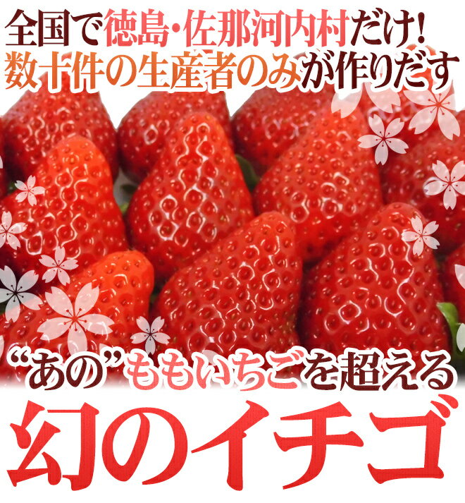 【送料無料】徳島県佐那河内村 ”さくらももいちご” M/Lサイズ 約200g×4pc【予約 12月〜4月】