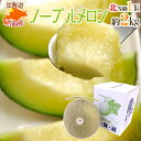 北海道メロン JAとままえ産 ”ノーブルメロン” 等級 北 1玉 約2kg 化粧箱【予約 7月下旬以降】 送料無料