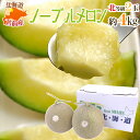 北海道メロン JAとままえ産 ”ノーブルメロン” 等級 北 2玉 約4kg 化粧箱【予約 7月下旬以降】 送料無料