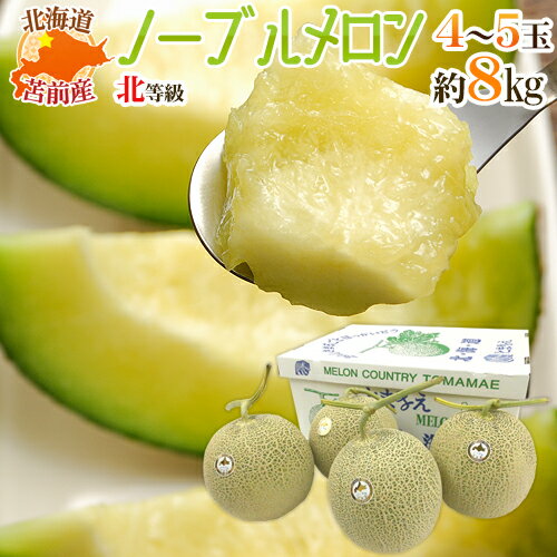 北海道メロン JAとままえ産 ”ノー�