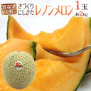 ”青森県 きづくり・にしきた レノンメロン” 秀品 1玉 約2kg以上【予約 7月下旬以降】