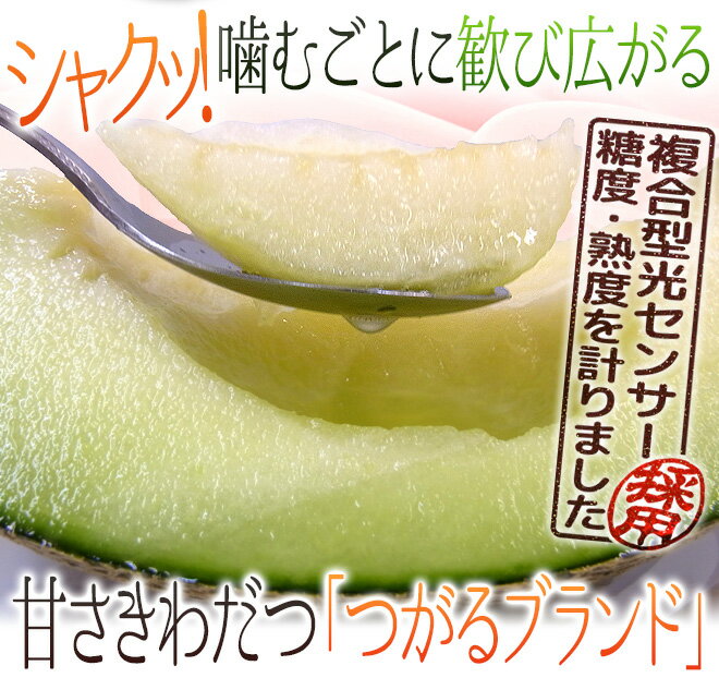 ”青森県 きづくり・にしきた タカミメロン” 秀品 超大玉 2玉 約4kg 化粧箱【予約 6月末以降】 送料無料