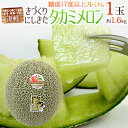 ”青森県 きづくり・にしきた タカミメロン ” プレミアム等級 1玉 約1.6kg以上 糖度17度以上【予約 6月末以降】