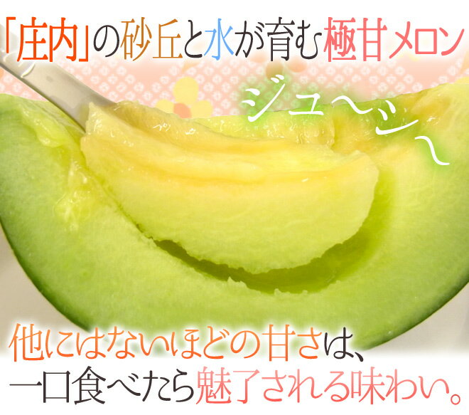山形県庄内地方 ”アンデスメロン” 秀品 3〜6玉 約5kg【予約 7月以降】 送料無料