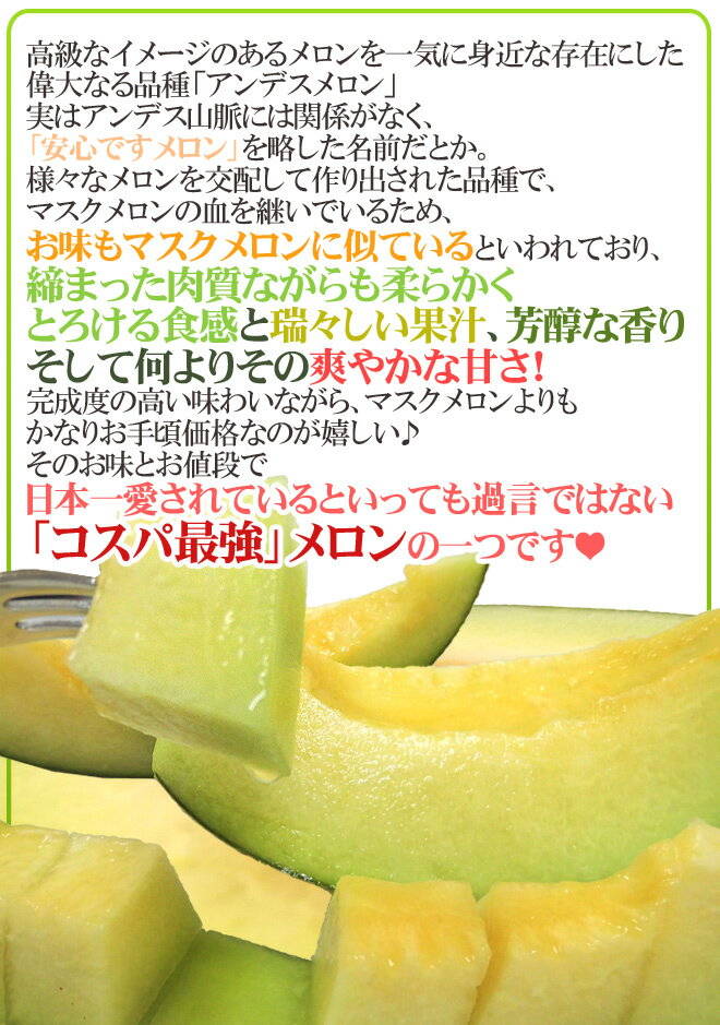 山形県庄内地方 ”アンデスメロン” 秀品 3〜6玉 約5kg【予約 7月以降】 送料無料