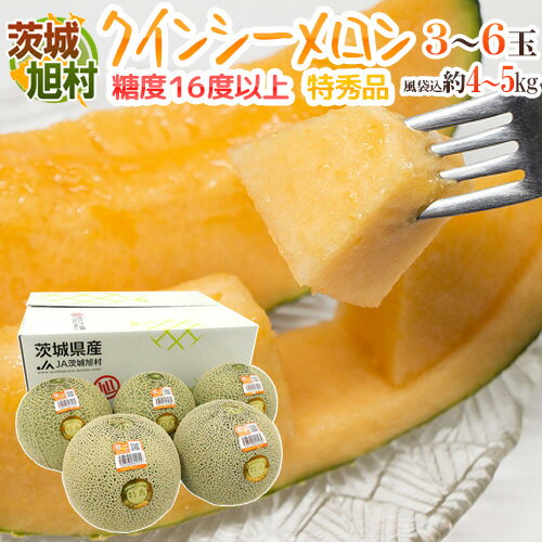 JA茨城旭村 ”クインシーメロン” 特秀品 3〜6玉 風袋込約4〜5kg【予約 5月末以降】 送料無料