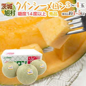 JA茨城旭村 ”クインシーメロン” 秀品 3〜4玉 風袋込約4〜5kg【予約 5月末以降】 送料無料