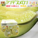 メロン JA茨城旭村 ”アンデスメロン” 特秀品 3〜6玉 風袋込約4〜5kg【予約 5月末以降】 送料無料