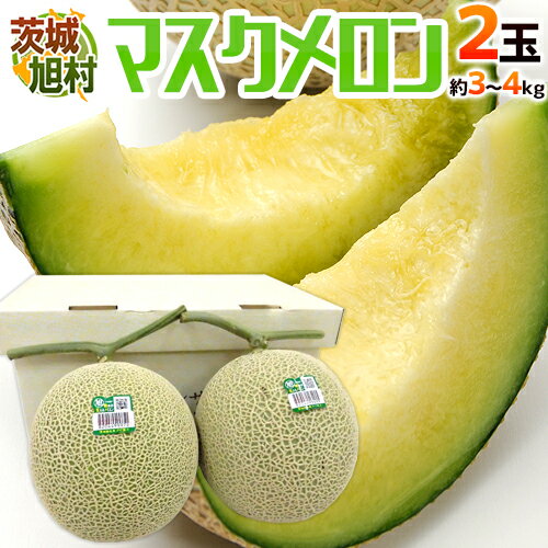 メロン 茨城県 旭村 ”温室マスクメロン” 秀品 超大玉2玉 約3〜4kg【予約 7月末以降】 送料無料