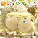 福井県 ”温室マスクメロン” 秀品 大玉2玉 約3.5〜4kg【予約 9月以降】 送料無料