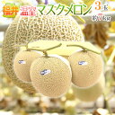 福井県 ”温室マスクメロン” 秀品 超大玉3玉 約7kg【予約 9月以降】 送料無料