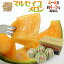 【送料無料】鳥取県 ”大栄マルセイユ” 秀品 2〜6玉 約5kg【予約 6月下旬〜7月】【楽ギフ_包装】