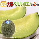 ”鳥取県 大栄ペルルメロン” 大玉 1玉 約1.8〜2kg【予約 6月下旬以降】