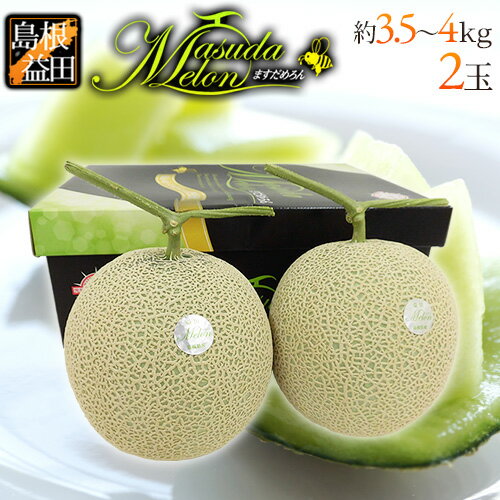 島根県 益田 ”ますだ マスクメロン” 特秀品 大玉2玉 約3.5〜4kg【予約 7月以降】 送料無料
