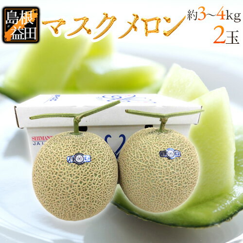 島根県 ”温室マスクメロン” 秀品 