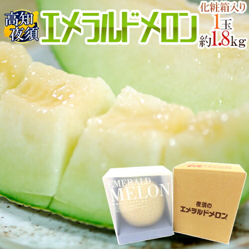 【15日はポイント10倍】高知県夜須産 ”エメラルドメロン” 大玉 約1.8kg 専用化粧箱入り【予約 10月末以降】 送料無料