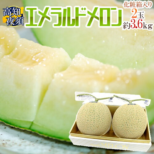 メロン 高知県夜須産 ”エメラルドメロン” 大玉 約1.8kg×2玉入り 化粧箱【予約 3月中旬以降】 送料無料