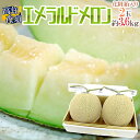 【送料無料】高知県夜須産 ”エメラルドメロン” 大玉 約1.8kg×2玉入り 化粧箱【予約 3月以降】