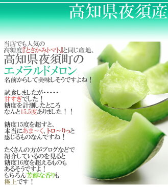 【送料無料】高知県夜須産 ”エメラルドメロン” 大玉 約1.8kg×2玉入り 化粧箱【予約 10月末以降】