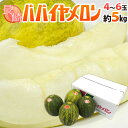 メロン 長崎産 ”パパイヤメロン” 秀品 大玉 4〜6玉 約5kg【予約 4月下旬以降】 送料無料