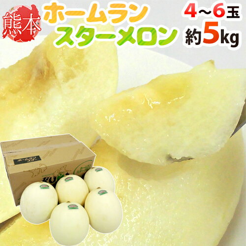 熊本県 ”ホームランスターメロン” 秀/優品 L/2L/3Lサイズ 4〜6玉 約5kg【予約 4月以降】 送料無料のサムネイル