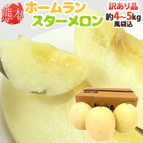 熊本県 ”ホームランスターメロン” 訳あり 約4〜5kg（風袋込） 大きさおまかせ【予約 4月以降】 送料無料のサムネイル