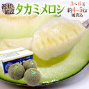 ”タカミメロン” 秀品 3〜6玉 風袋込約4〜5kg 産地厳選【予約 5月末以降】 送料無料