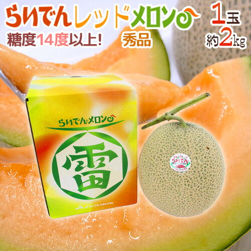 北海道 赤肉メロン ”らいでんレッドメロン” 1玉 約2kg 化粧箱 送料無料