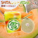 北海道 赤肉メロン ”らいでんレッドメロン” 1玉 約2kg 化粧箱【予約 7月中下旬以降】 送料無料