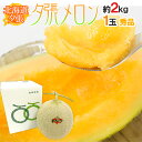お中元 北海道 ”夕張メロン” 共撰・秀品限定 1玉 約2kg 化粧箱【予約 7月中のお届け】 送料無料