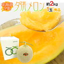 北海道 ”夕張メロン” 共撰・秀品 1玉 約2kg【予約 7月中下旬以降】 送料無料
