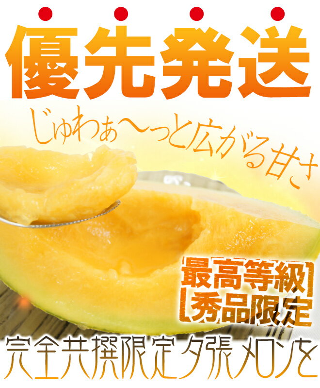 【早期発送・一番成り】北海道 ”夕張メロン” 共撰・秀品限定 2玉 約3.2kg 専用化粧箱【予約 5月末以降】 送料無料