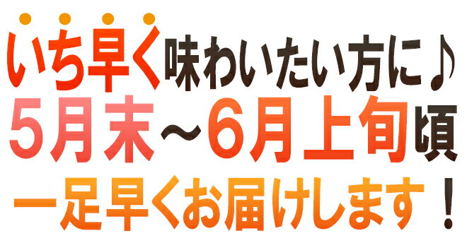 【早期発送・一番成り】北海道 ”夕張メロン” 共撰・秀品限定 2玉 約3.2kg 専用化粧箱【予約 5月末以降】 送料無料